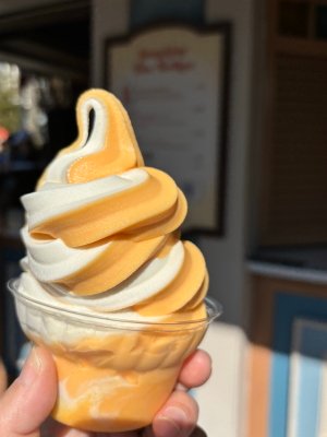 Citrus Swirl - Magic Kingdom